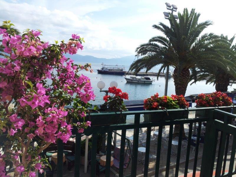 Apartman Iris Gradac  Εξωτερικό φωτογραφία